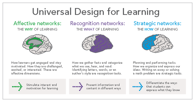 Universal Design for Learning | Esperanza Education