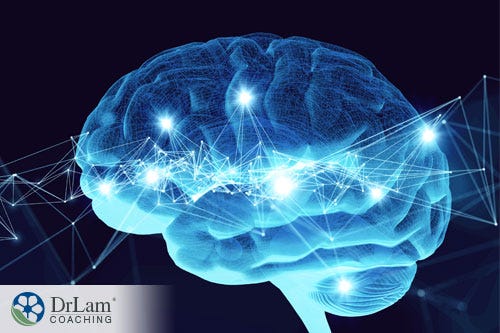 An image of a diagram of the brain and how cat's claw and the brain can affect memory loss