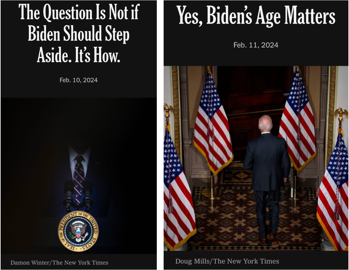 Throwing Shade: The Disturbing Visual Fallout From the Special Counsel's Attack on Biden's Competency