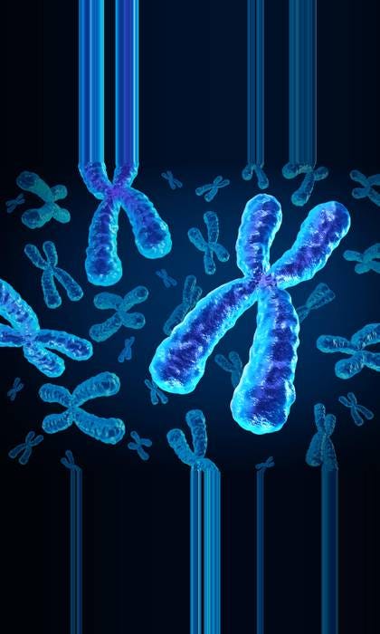 The Y chromosome is slowly disappearing. Credit: Brain light / Alamy Stock Photo