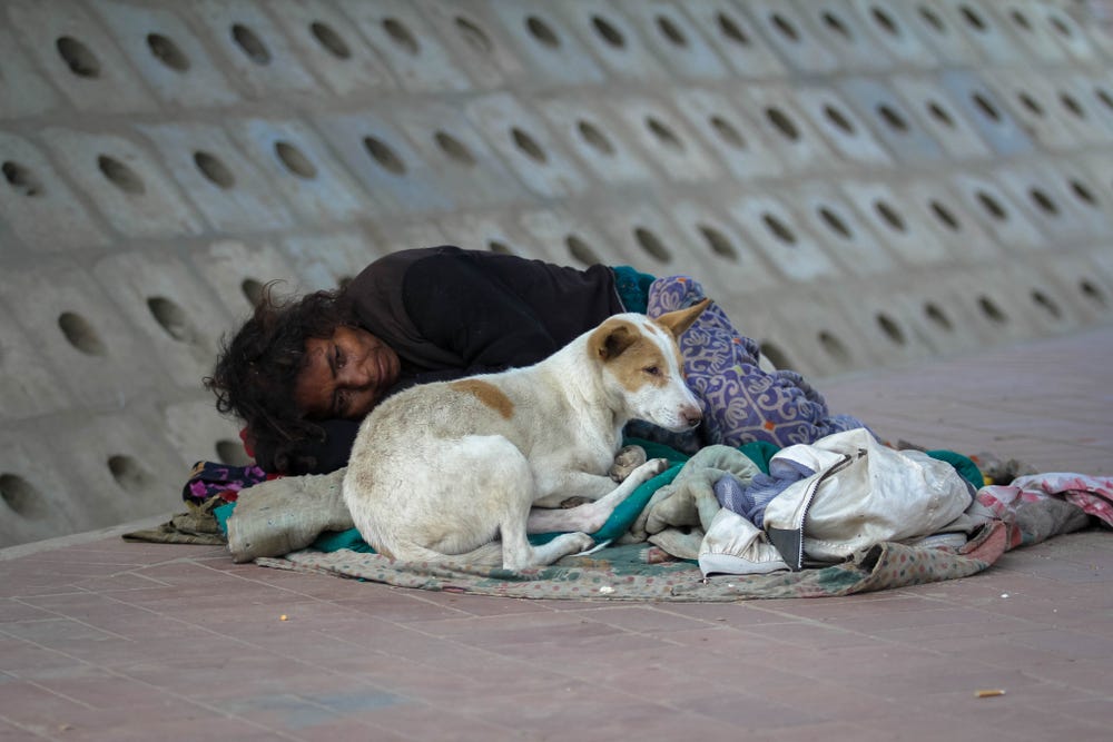 housing | Homelessness highlights the inequality behind GDP growth numbers  - Telegraph India