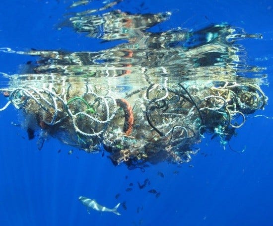 Plastic-trash-in-water.jpg