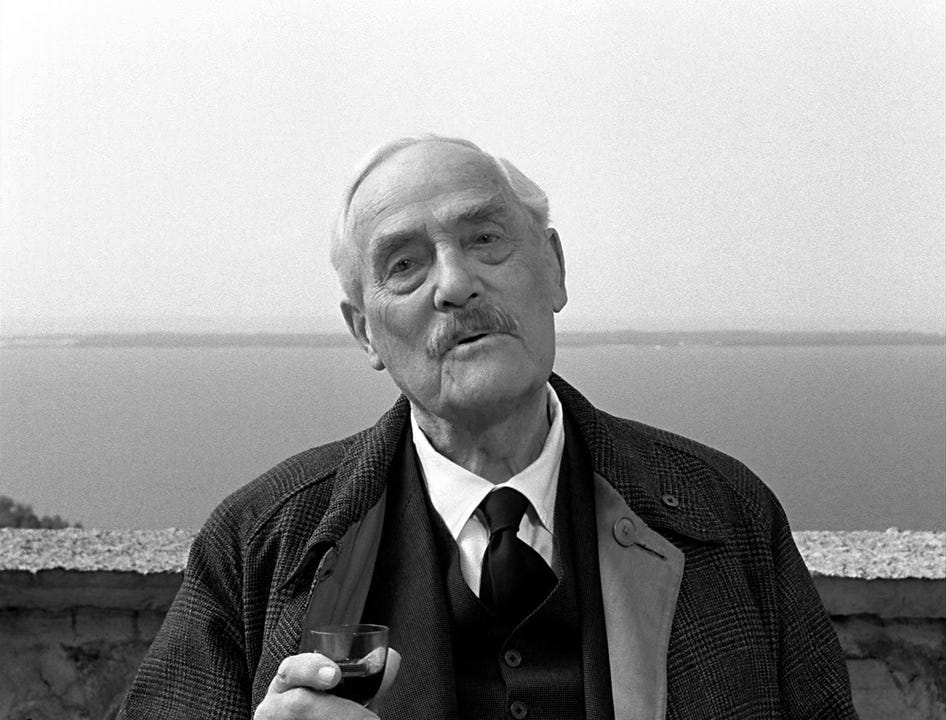 Wild Strawberries – [FILMGRAB]