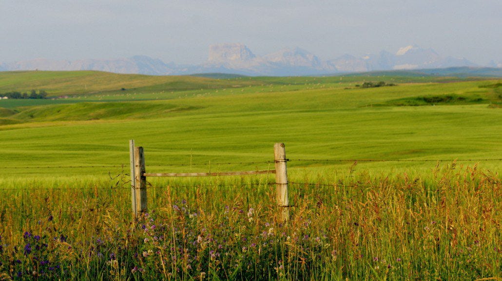 Our first day in the plains coming out of Canada into the U.S. This shot was taken before 6 am as the sun was cresting behind us, casting light on the fields and our last real view of the Rockies.