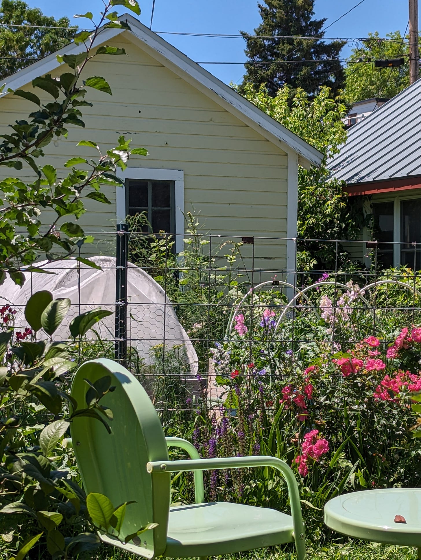 Yellow backyard shed, raised bed garden with lots of flowers and plants. Green metal chair in the foreground. 