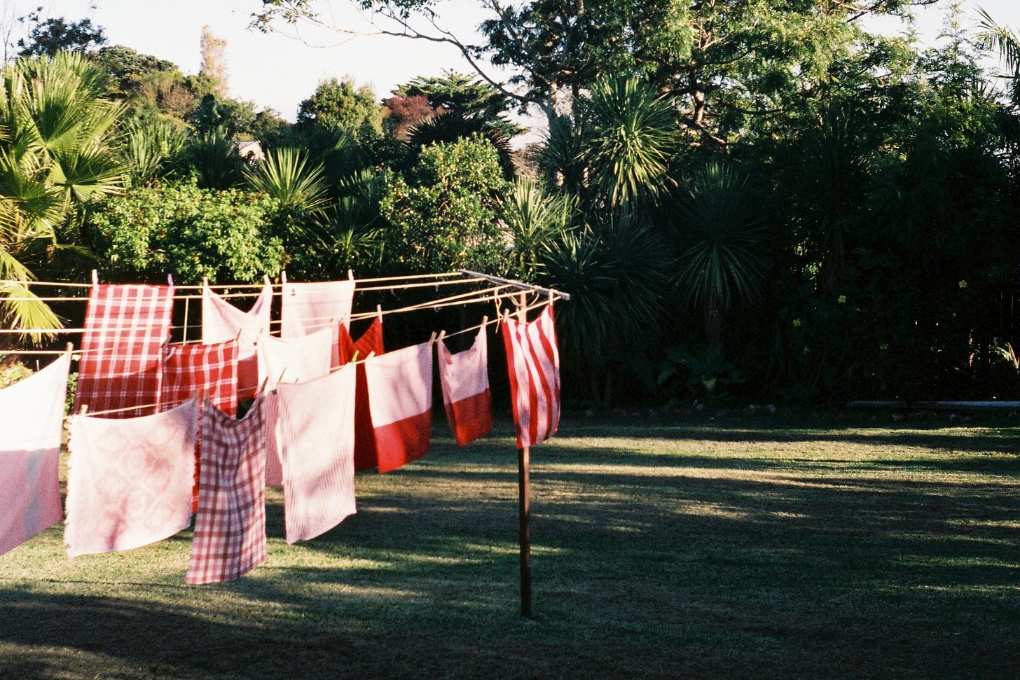 red-and-white tea towels drying on a ricketty washig line in a lush green garden flanked by spiky palm leaves and fluffy shrubs. The hour of the afternoon is late and the shadows are long on the lawn. It is time to take the washing in.