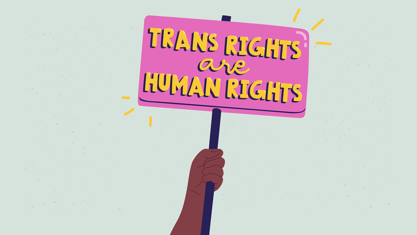 a Black person's animated arm holds up a pink sign that says "trans rights are human rights"