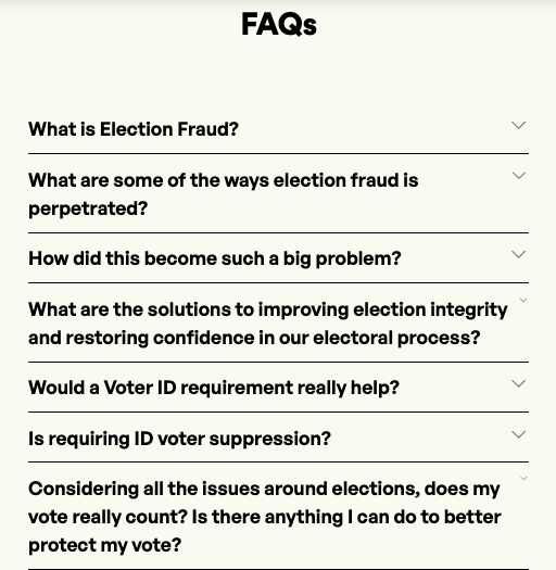 true the vote election fraud