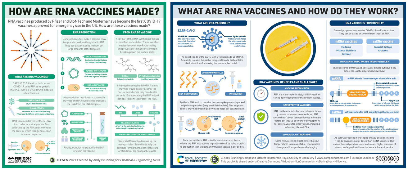 Image of infographics on RNA vaccines. Full graphics and full alt-text at the links in the previous paragraphj