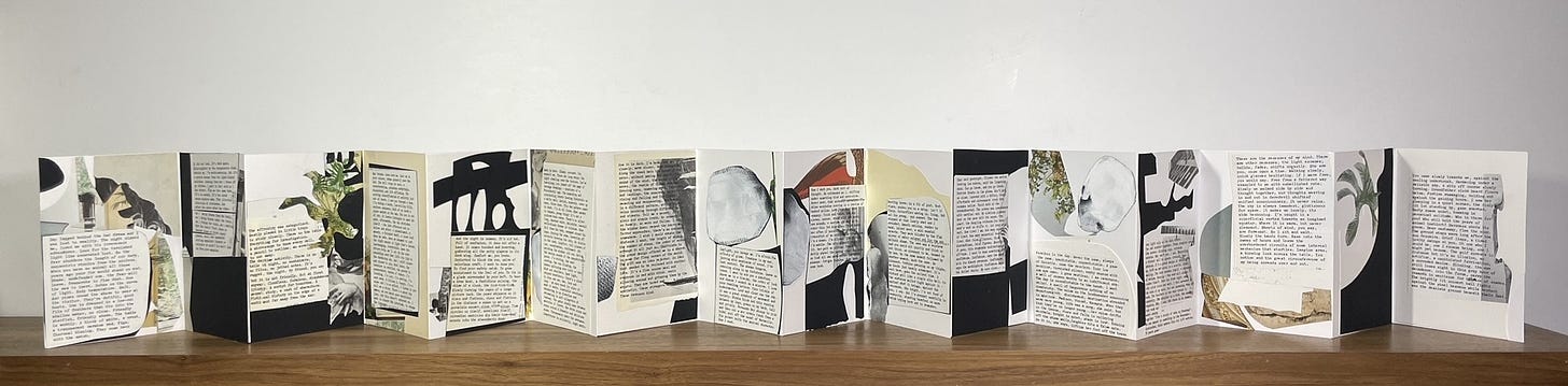 an accordion book with its pages open to span a table. each page of the book contains text and images