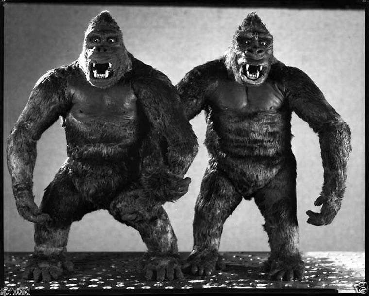 KONG x 2_2 KK puppets_Likely 8x10.jpg (61.53KiB)