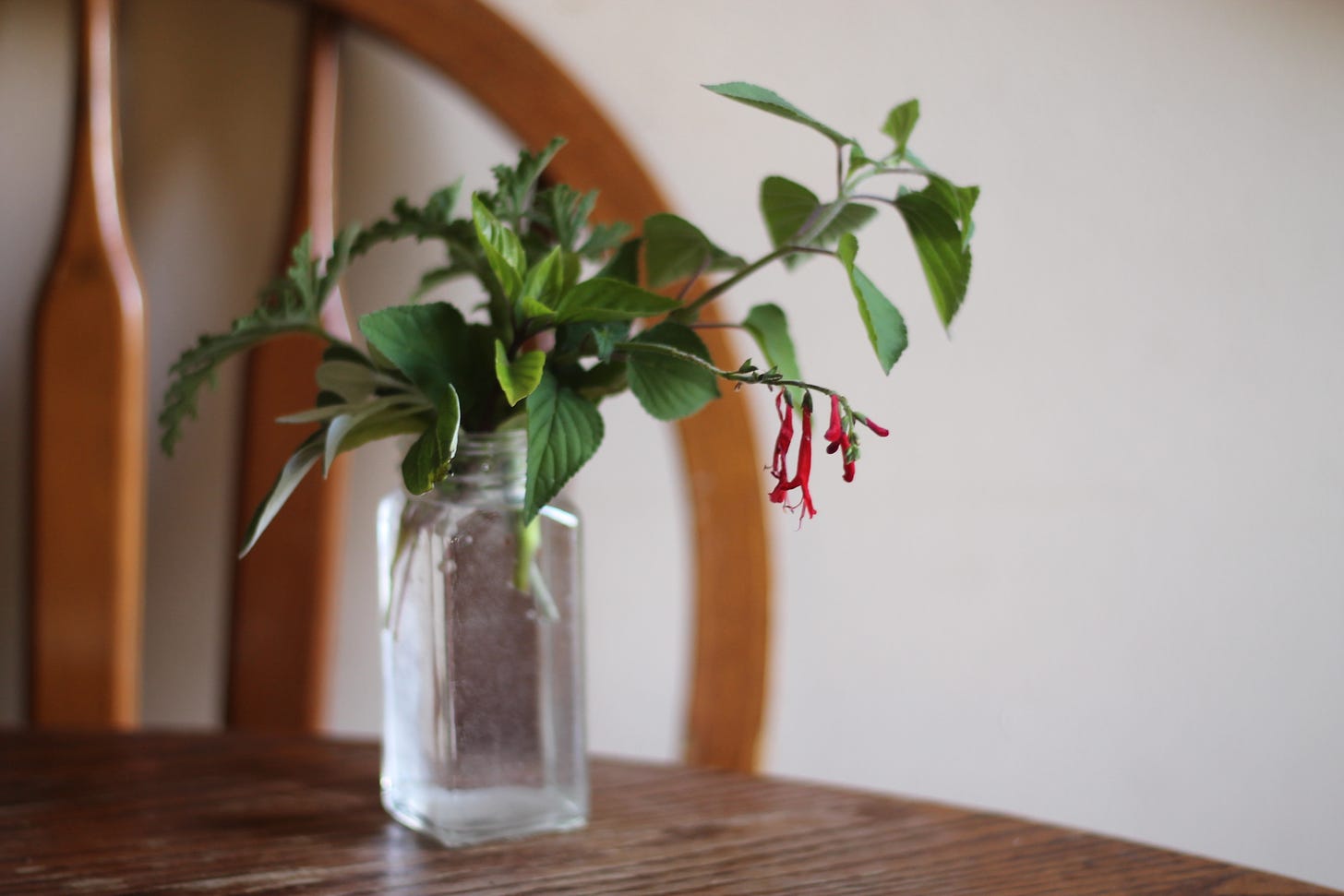 A small glass vase containing a few sprigs of plants, one with red dangling flowers. 