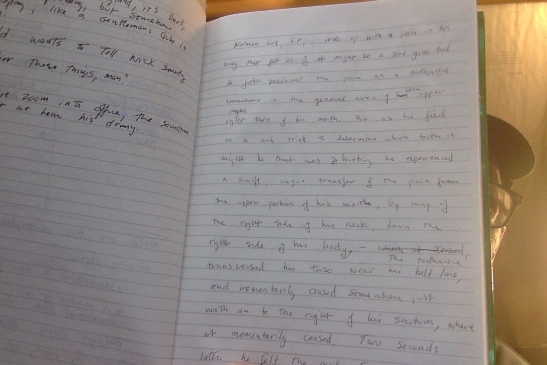 Photo of me holding a notebook opened to a page on which you can make out, if you squint, in my chicken-scratch handwriting, a draft of the opening sentences of The Pains.