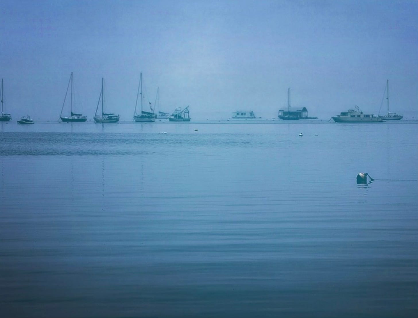 A monochrome blue photograph of Provincetown Harbor on a misty day. Where the water meets the sky there is a line of sailboats, with tall masts at anchor, and a few other boats including a houseboat. In the foreground a buoy floats among the ripples of the almost-still waters of the bay.