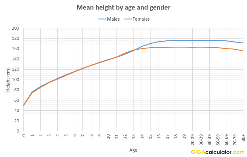 Height Calculator & Child Height Predictor