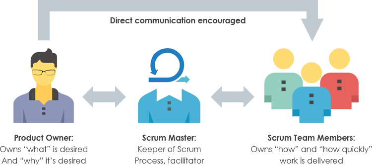 Scrum-Guide: Das Team