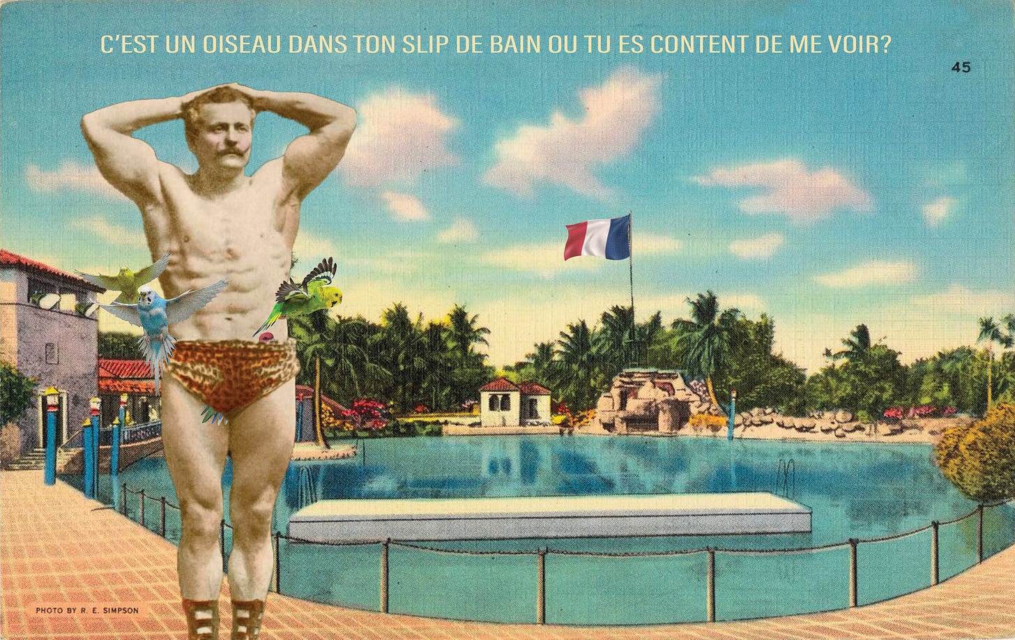 Budgie smugglers and French swimming pools collage by Kirsten Bell