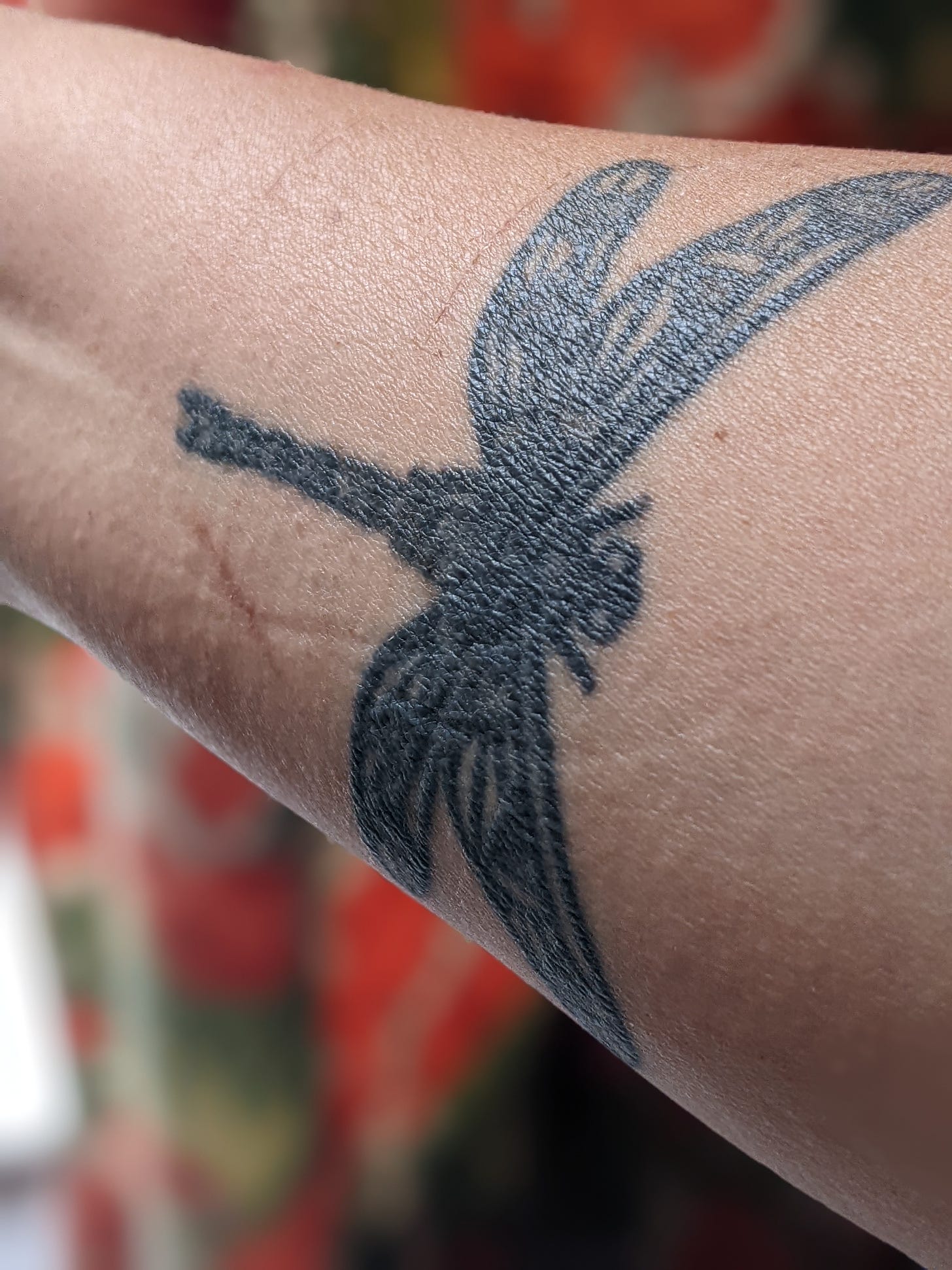 Close up photo of Tamsin's dragonfly tattoo