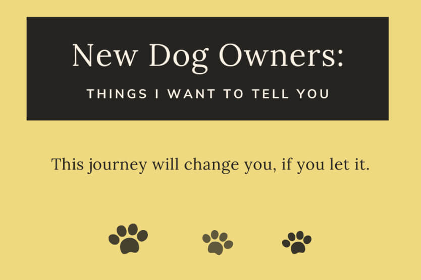 New dog owners, here is what I wish I could tell you