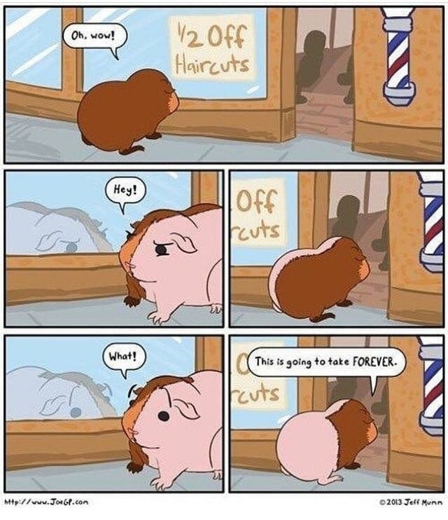 5 panel comic starting with a Guinea Pig reading a sign outside of a barber shop that says "1/2 Off Haircuts" and the piggie reacts with, "Oh, wow!"

Next: "Hey!" the piggie says. Reflection in the mirror shows only half of the guinea pig's hair has been cut off.

Next: piggie goes back into the barber

Next: "What!" says the piggie. Reflection shows 1/4 of the hair still left.

Next: "This is going to take FOREVER" says the guinea pig, going back into the barber shop.