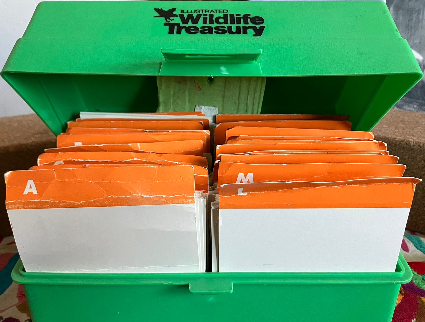 Green plastic box containing alphabetized wildlife cards