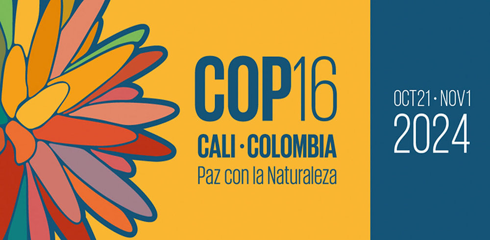 Esto es todo lo que debe saber sobre La COP16