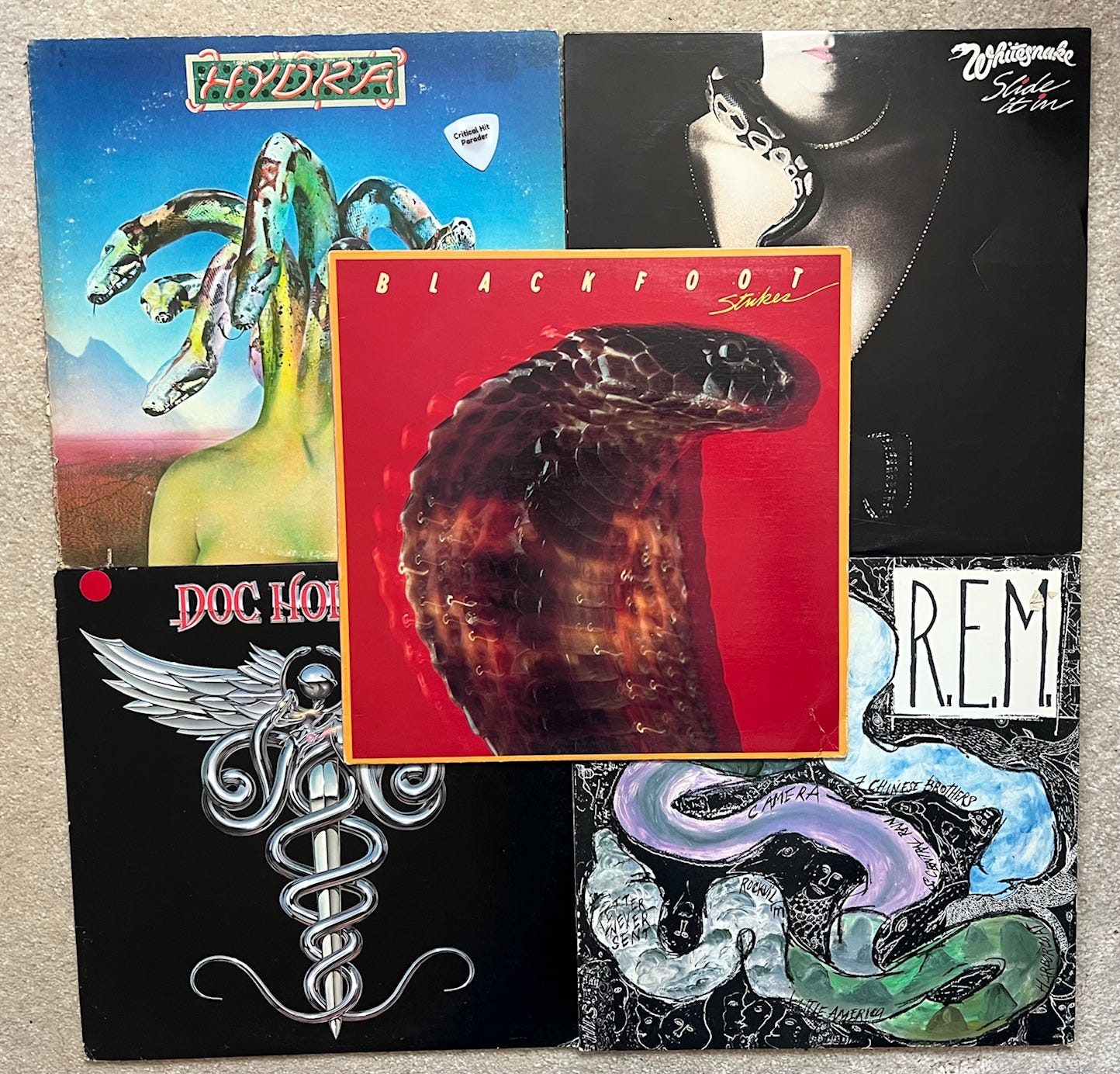 Five albums that have snakes on the cover: Hyrda, Whitesnake, Doc Holliday, REM, Blackfoot