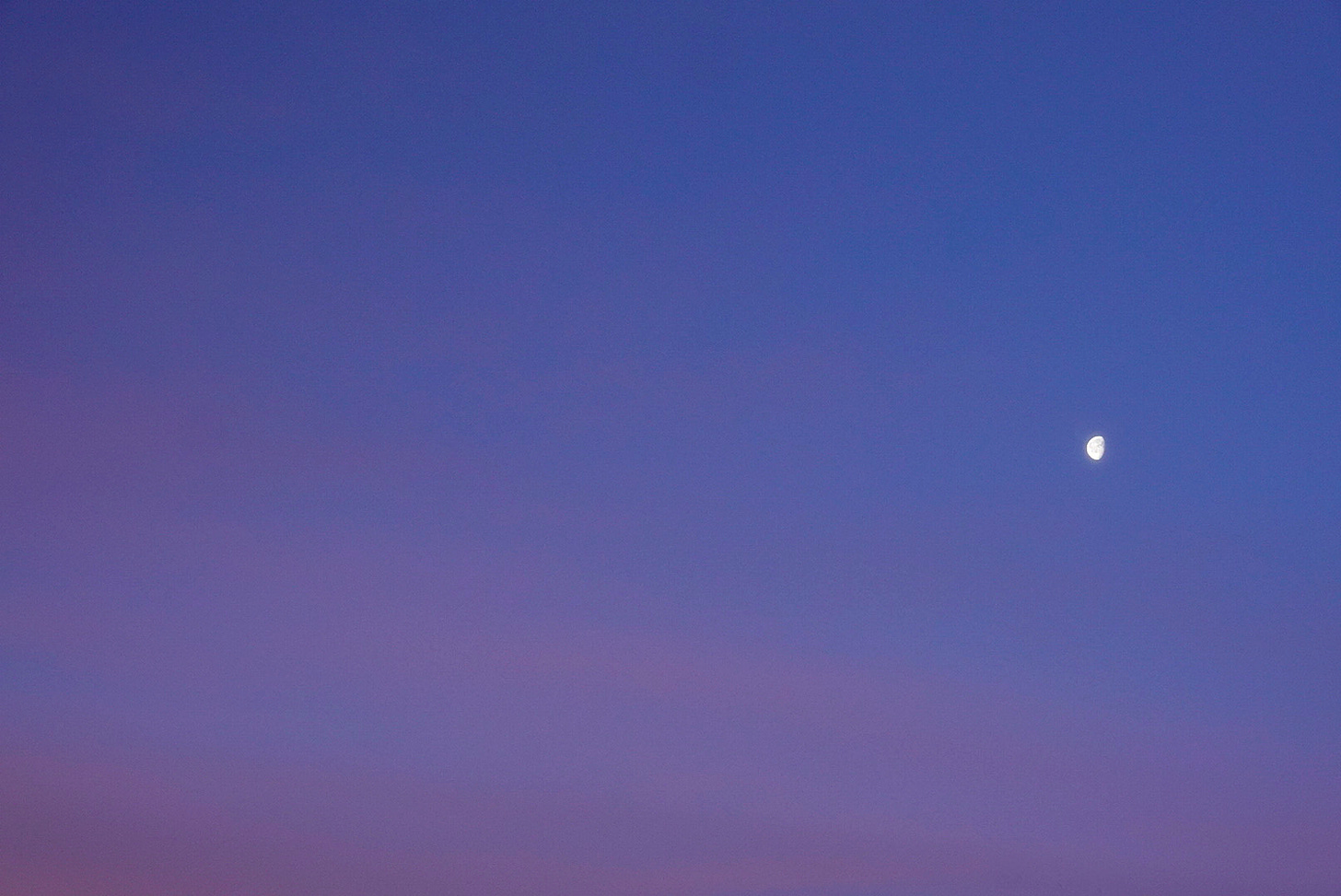 A bright moon in a deep blue sky marks the first day of the New Year