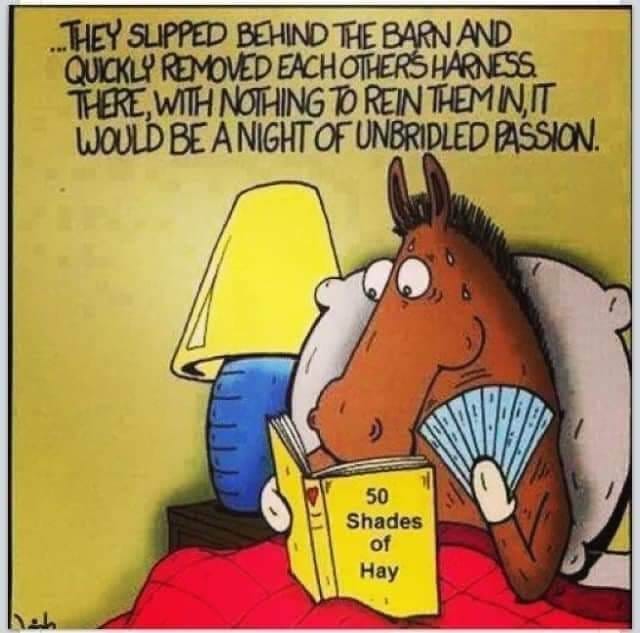May be an image of horse and text that says 'THEY SLIPPED BEHIND THEBARNAN QUICKLY REMOVED EACHOTHERSHARNESS THERE WITH NOTHING TO REIN THEMN,IT WOULD BE ANIGHT OF UNBRIDLED PASSION. 50 Shades of Hay'