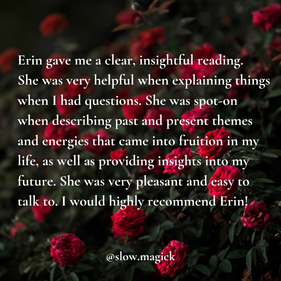 An image of a rose garden full of red roses against a dark green background of leaves. The image is underneath text that shares one of the two testimonials I've linked above.