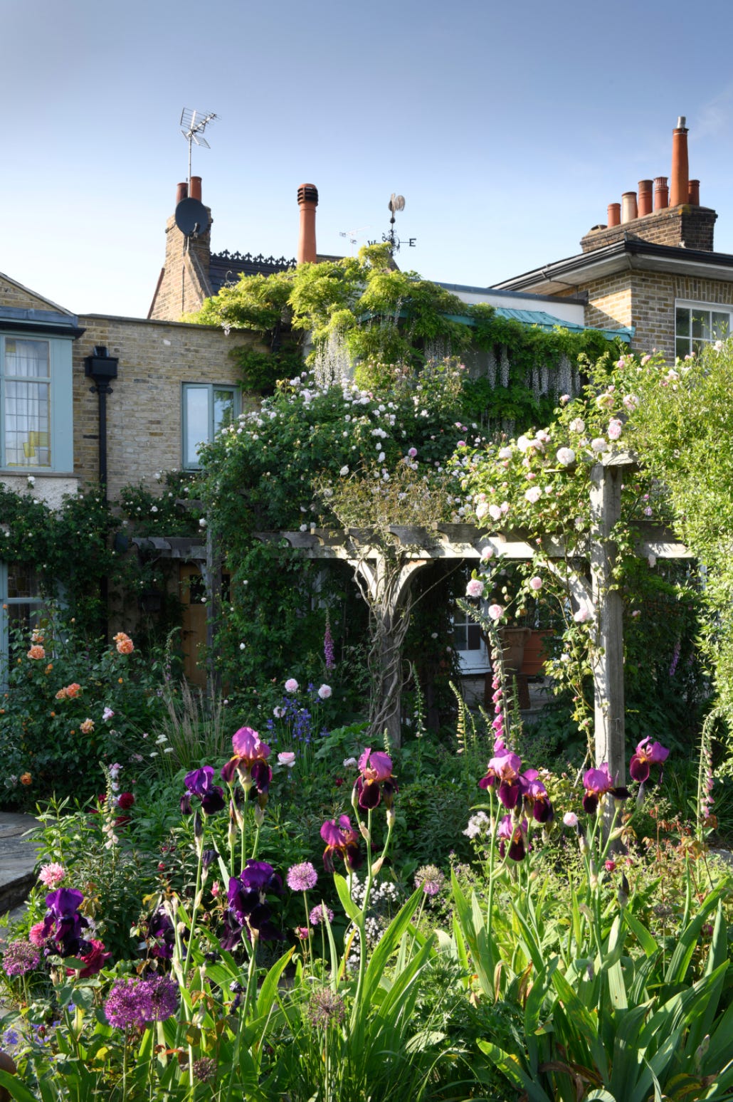 a pretty cottage garden with irises and roses