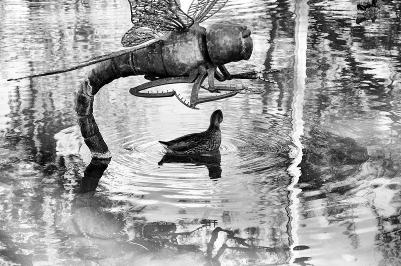 Monochrome photo of a dragonfly sculpture looming over a duck in a pond reflecting the sculpture, the duck, trees, clouds and a flagpole.