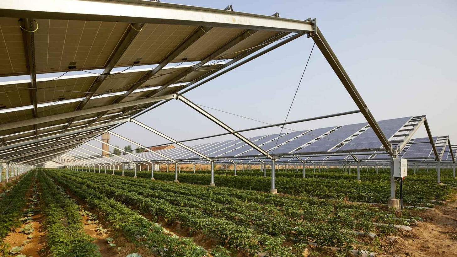 Agrovoltaica: agricultura y energía fotovoltaica de la mano para un campo  más limpio y sostenible