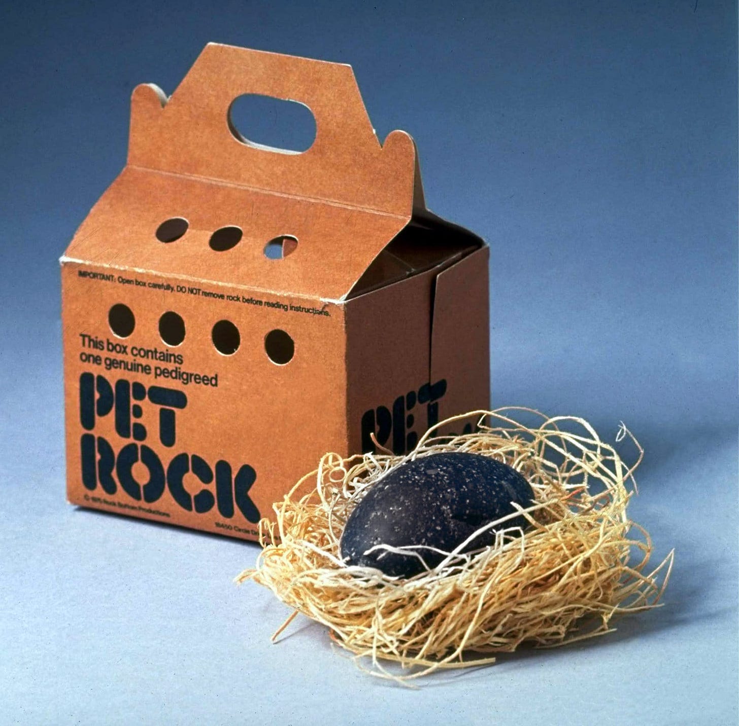Pet Rock history: See vintage rocks, care instructions & more about the  silliest fad of the 1970s - Click Americana