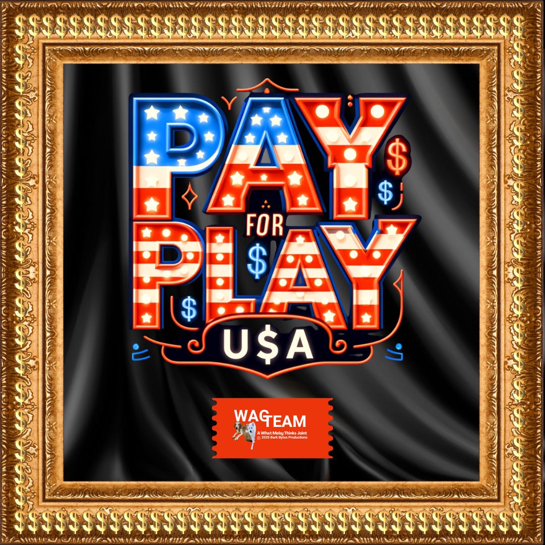 Bold Vegas-style typography displaying the words ‘Pay-for-Play, USA,’ glowing in red, white, and blue with dollar signs embedded in the design. The ornate gold frame and black satin background evoke themes of greed and gaudy excess, perfectly complementing the satirical tone.