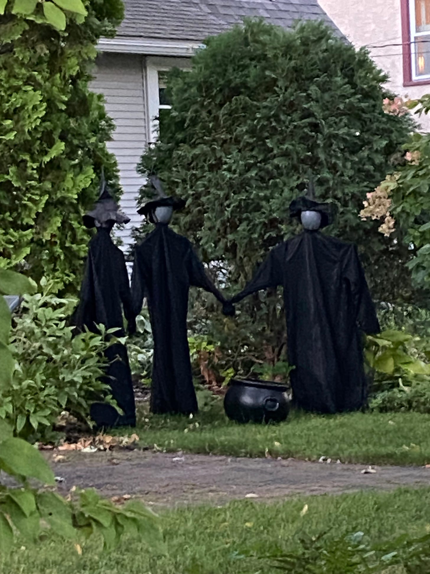 Three decorative witches stand around a cauldron in someone's yard.