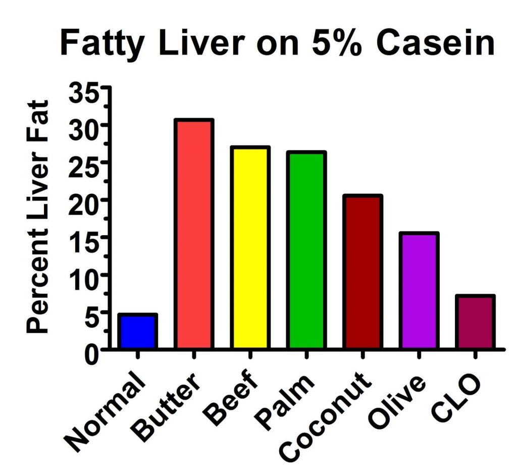 Dietary fat caused fatty liver in rats fed low-protein diets.
