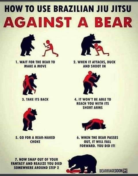 If you ever have to fight a bear. : r/martialarts