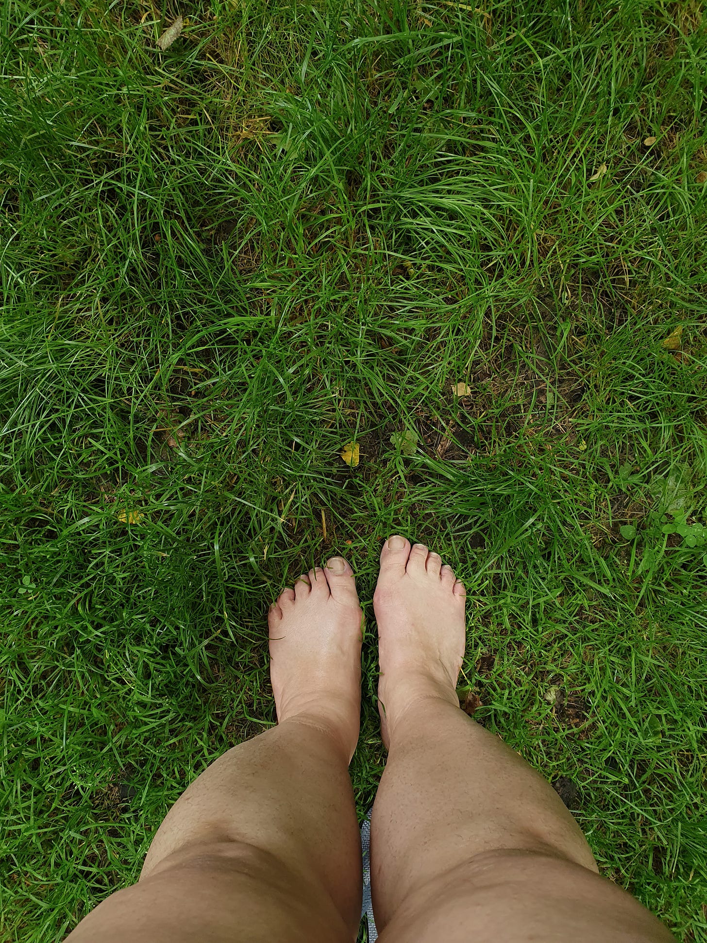 Photo of a woman's legs and feet, she is standing on grass with no shoes on.