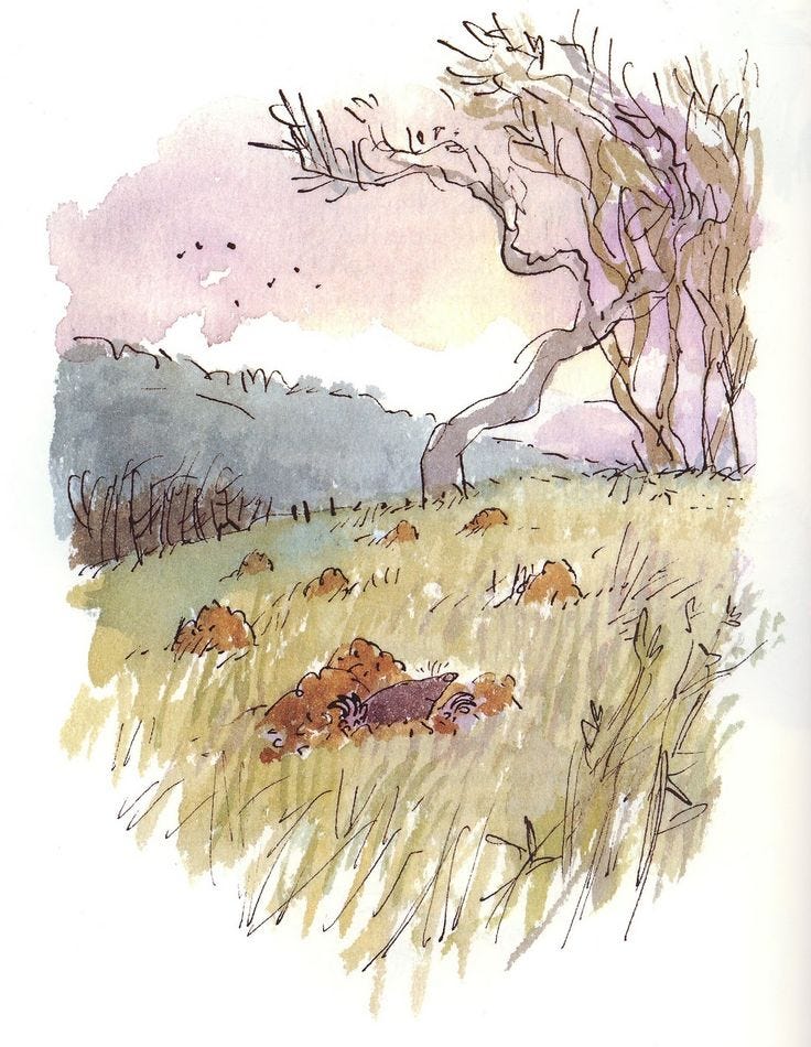 This may contain: watercolor and ink drawing of trees in a field