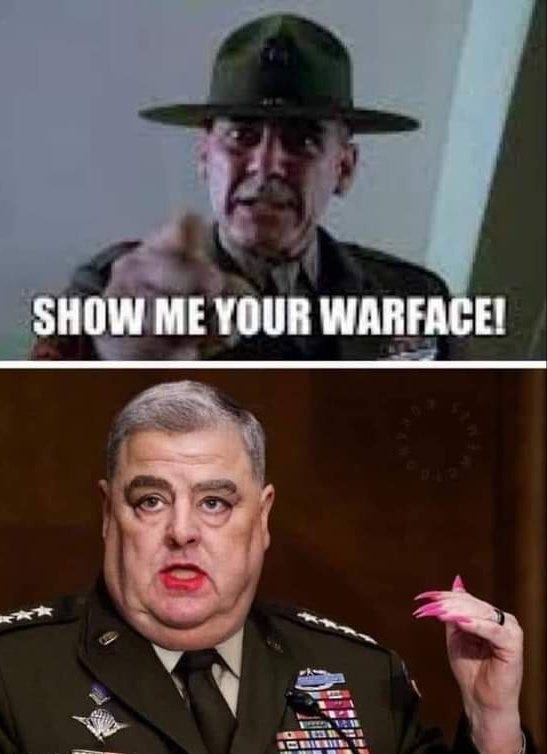 NeverForget our troops. 🇺🇸 on X: "Gen. Milley and @SecDef don't know what  a "war face" is. Everytime they are on TV, they are like "deer looking into  headlights", lost, bubble-eyed and