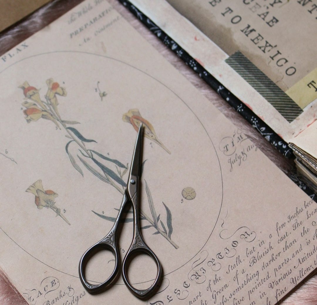 a pair of scissors sitting on top of a piece of paper