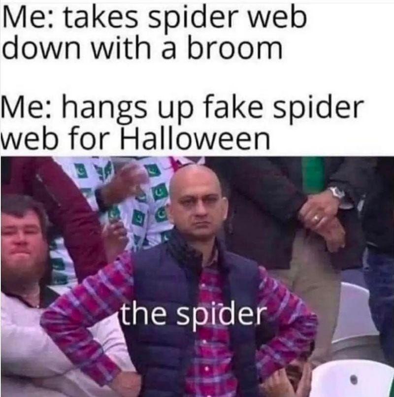 Caption:   me: takes spider web down with a broom.  Me: hangs up fake spider web for halloween.  Picture:  Man in plaid shirt with a puffy vest staring unimpressed/peturbed at the camera with others behind him, labeled “the spider.”