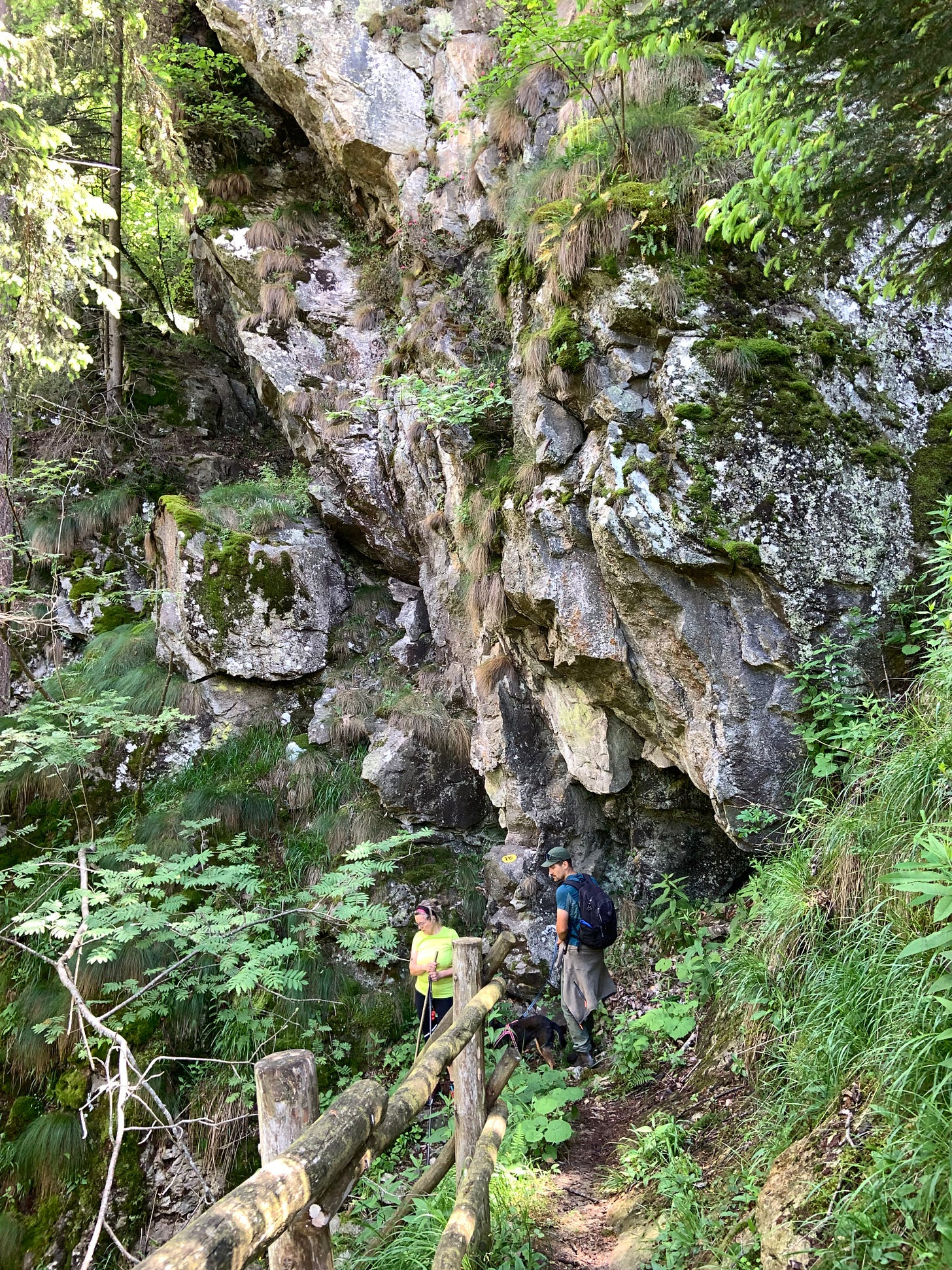 The Solitude of Hiking. Finding Peace and Self-Discovery in Nature