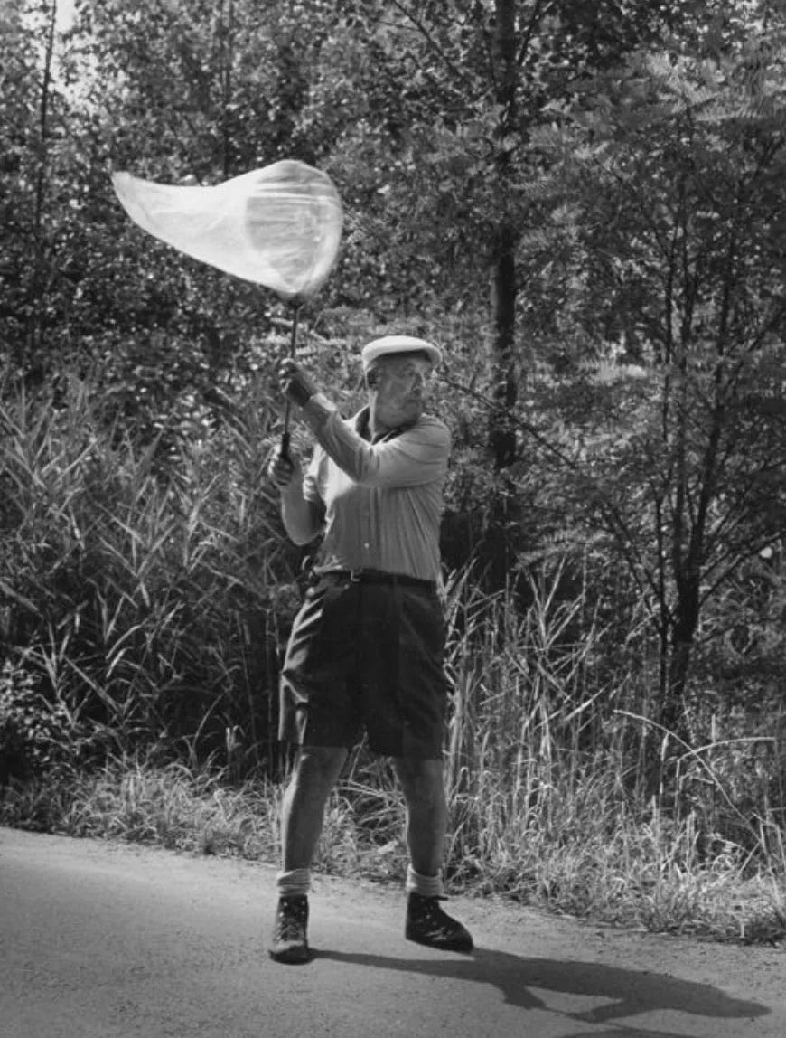 Man carrying a net in mid-air.