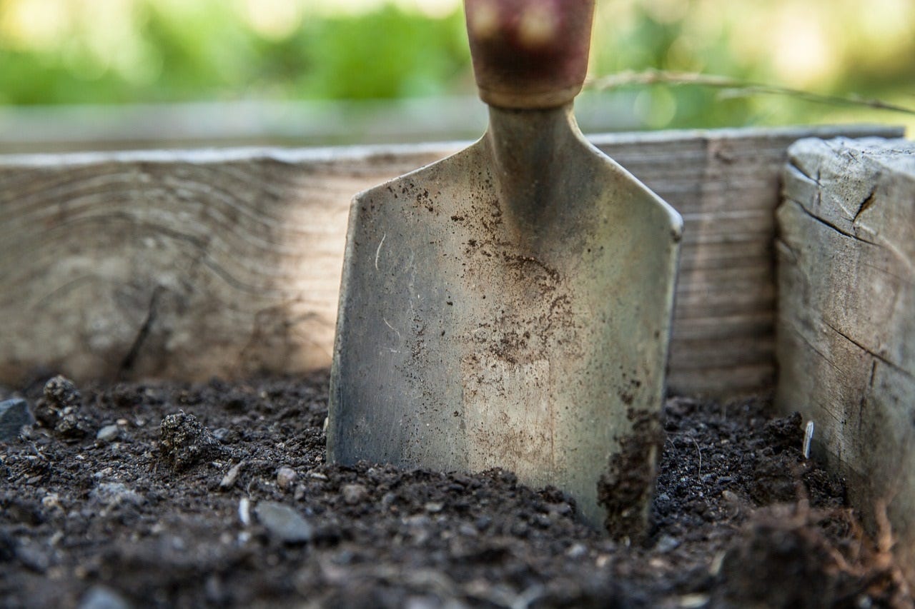 fingers in the soil