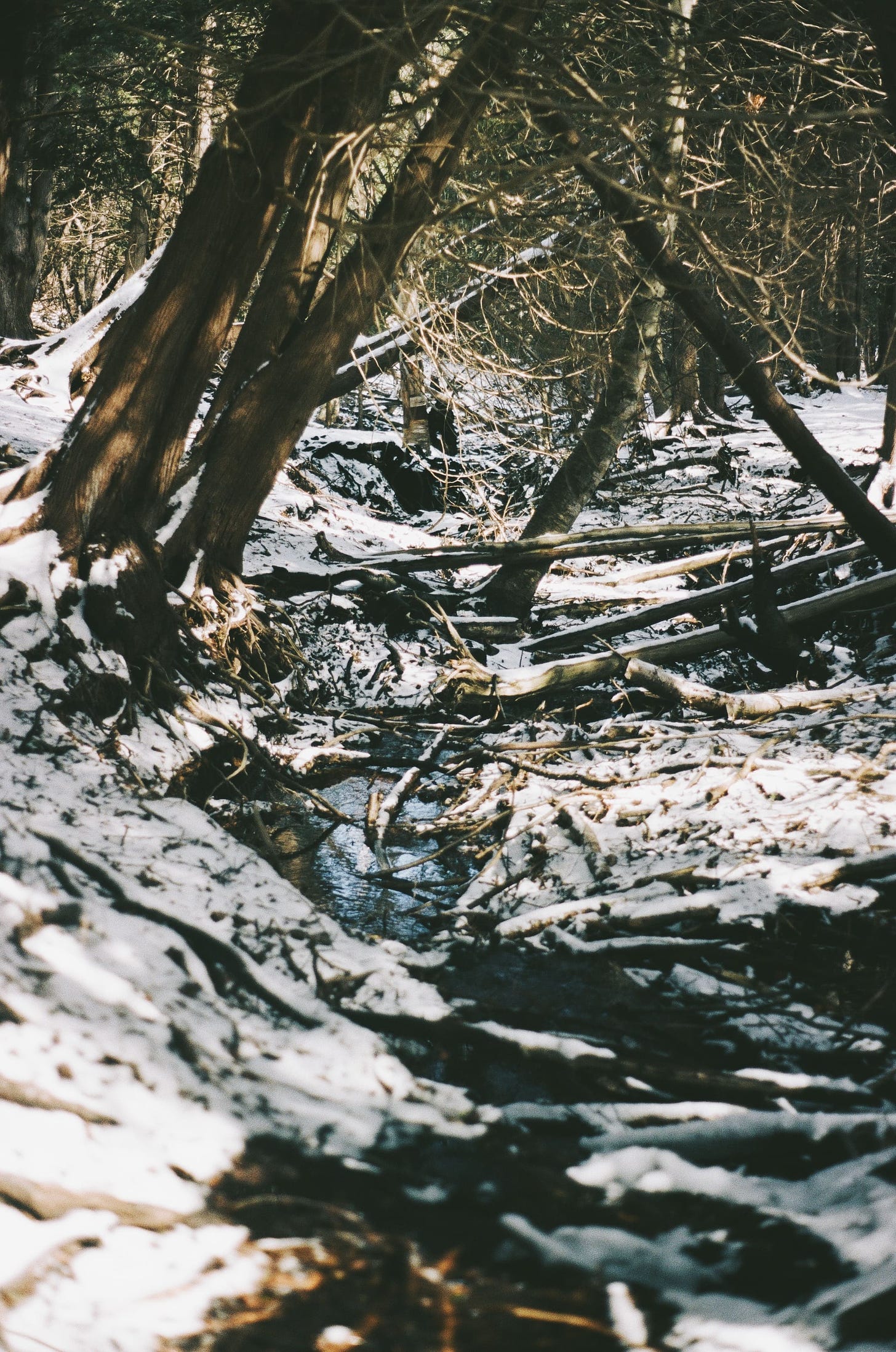 A film photograph of a creek in the winter. Fallen trees and branches covered in snow stick out of the rippling water. The earth is covered in a thin layer of snow and the forest around the creek is dense and bare.