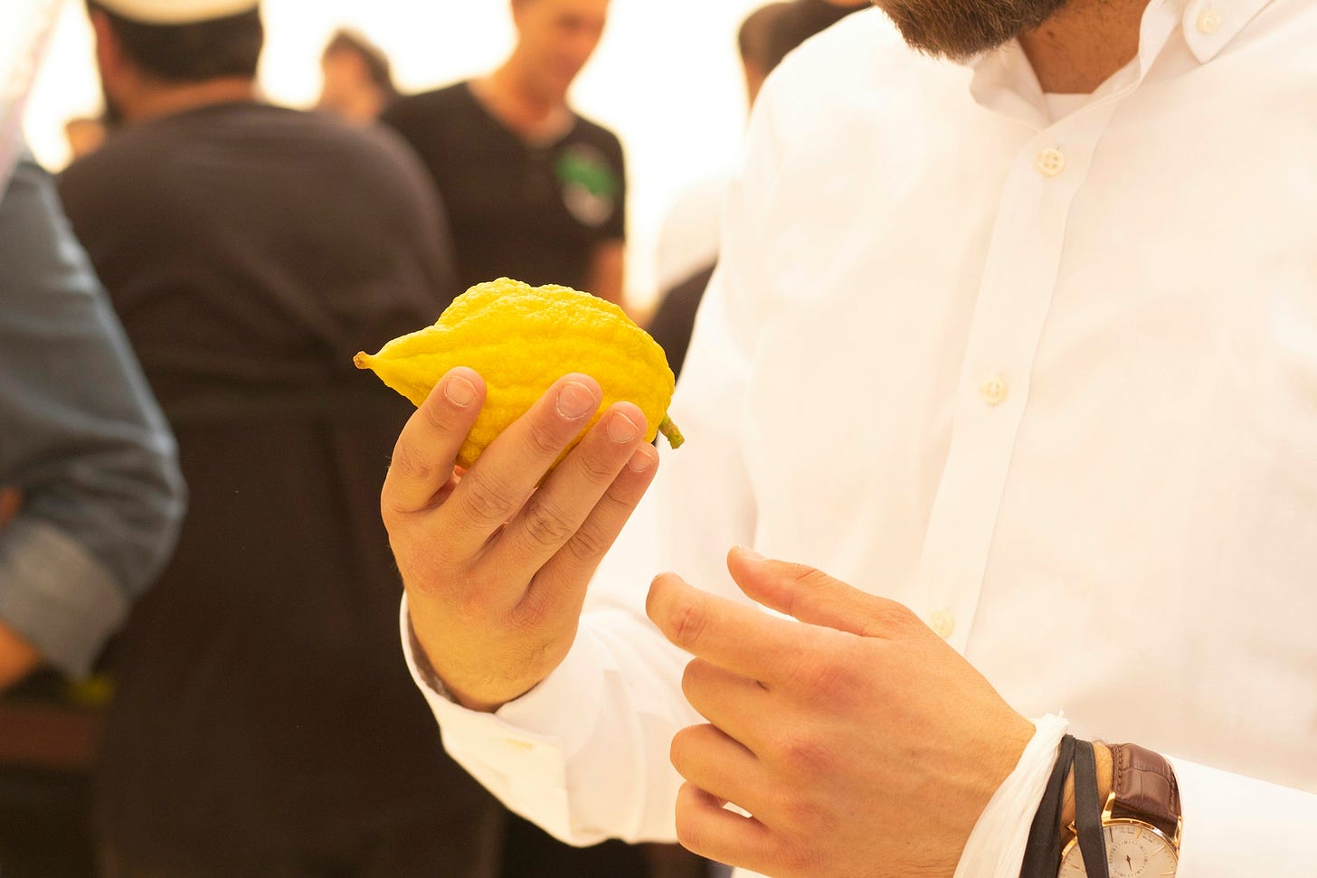 a person holds a yellow etrog