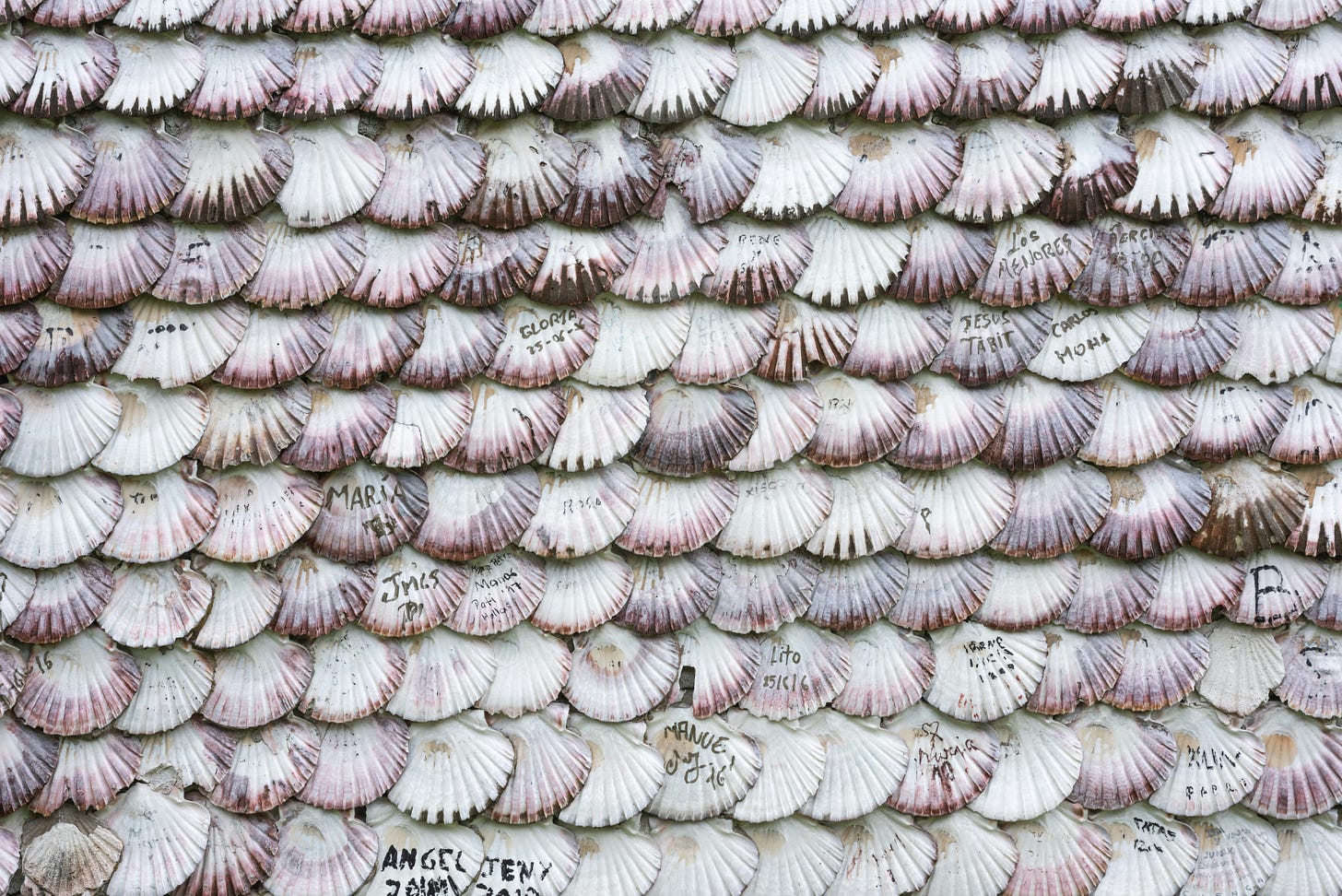 Foto de uma parede revestida com conchas. Elas estão enfileiradas como se fossem azulejos. Algumas estão assinadas por pessoas que estiveram ali.