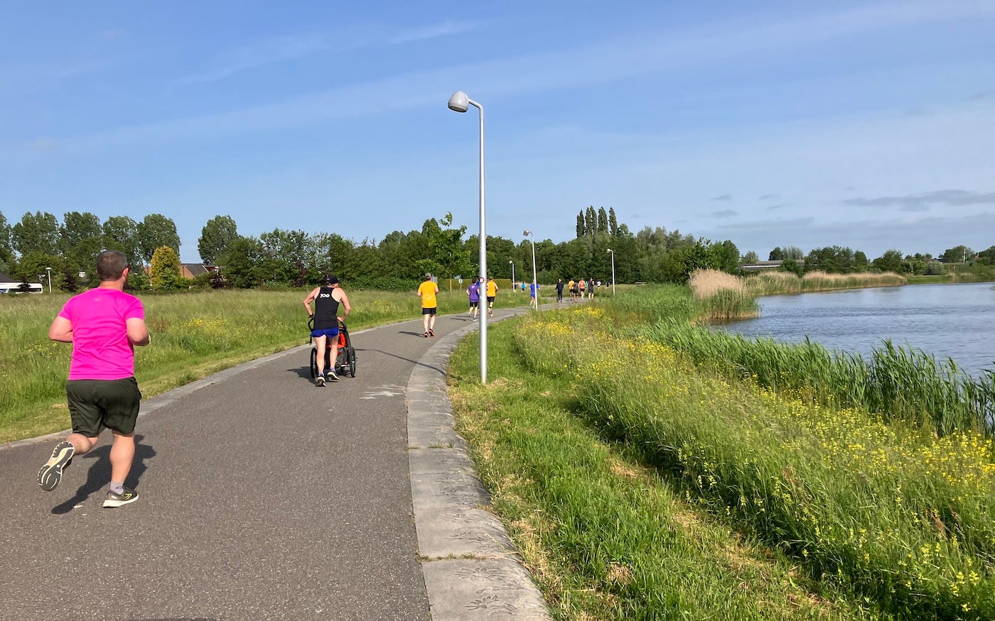 A wide tarmac path bordered by foot-high grass